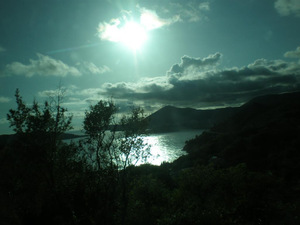 Villa Lidija Budva Værelse billede