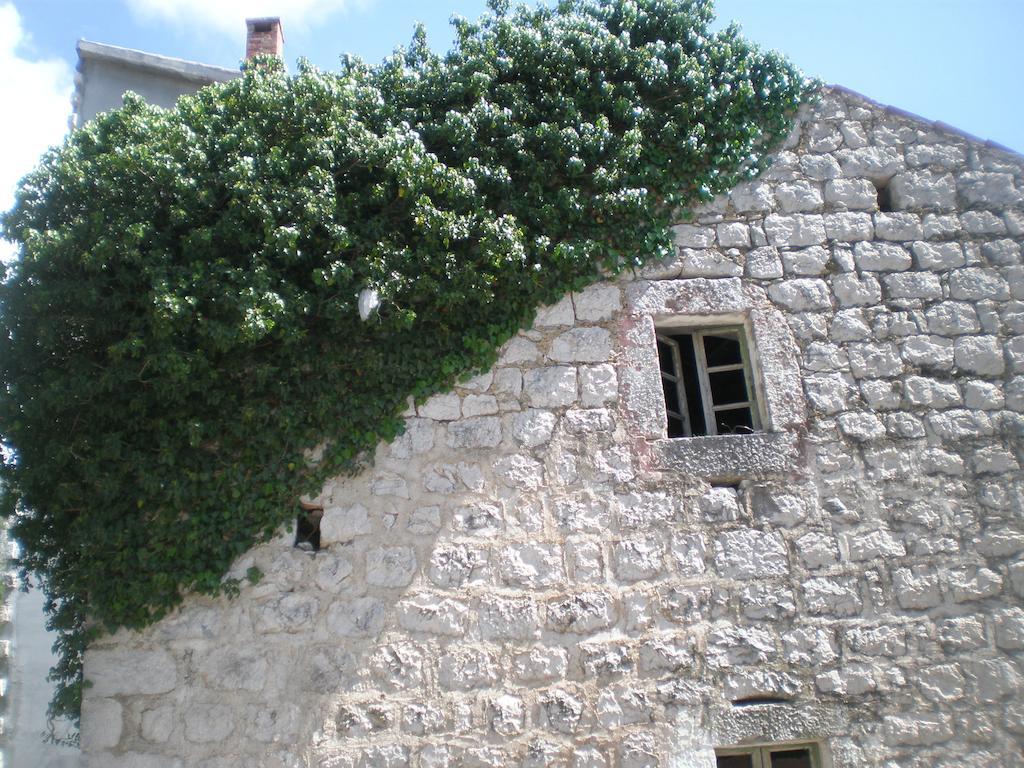 Villa Lidija Budva Værelse billede