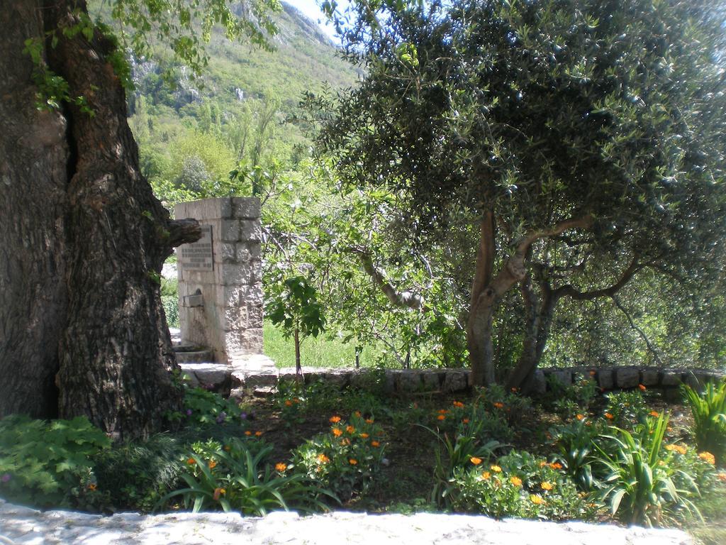 Villa Lidija Budva Værelse billede